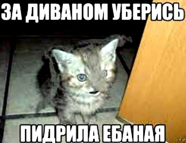 Мем Мем