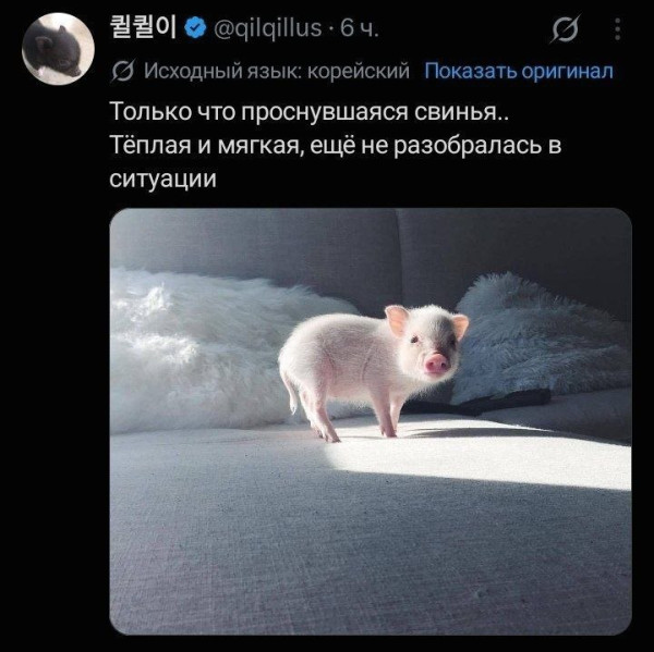 Мем Мем