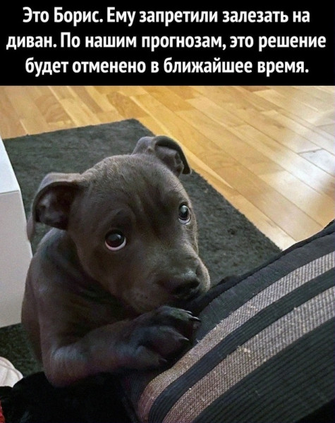 Мем, Mghost
