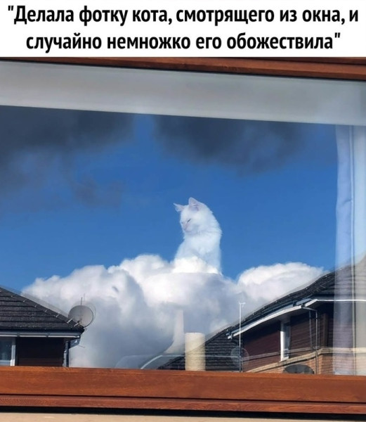 Мем, Mghost Мем, Mghost