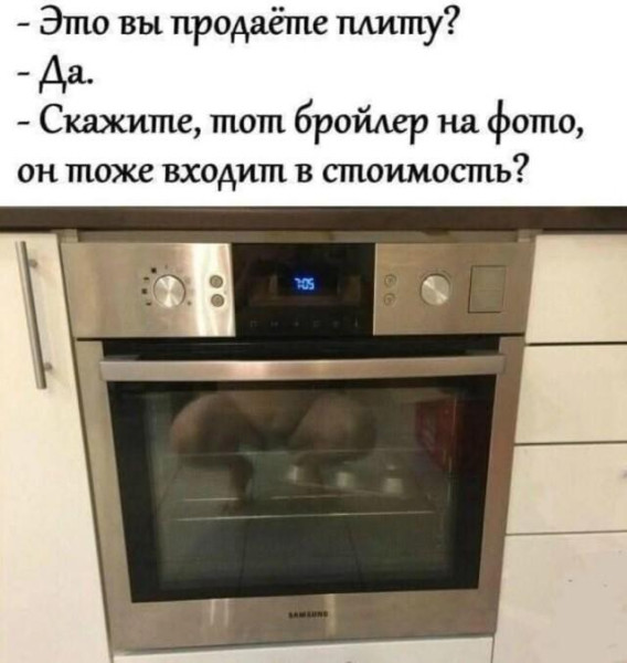 Мем, Антиклептократ Мем, Антиклептократ