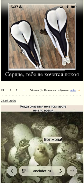 Мем: Вот жопа, Labalka