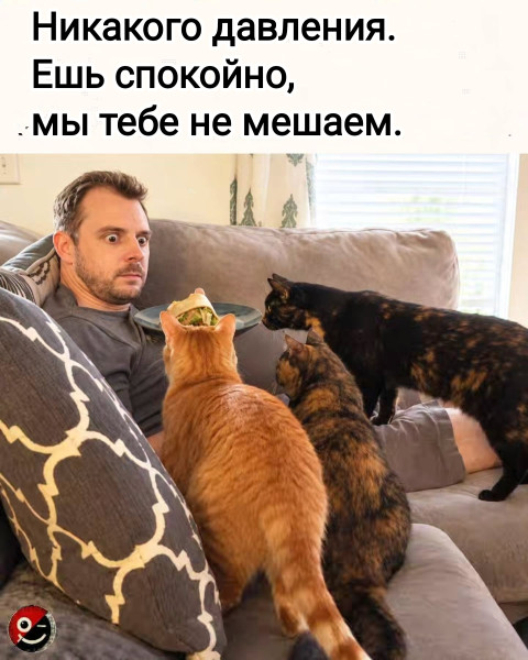 Мем, Рысь