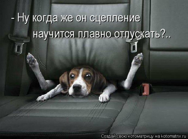 Мем