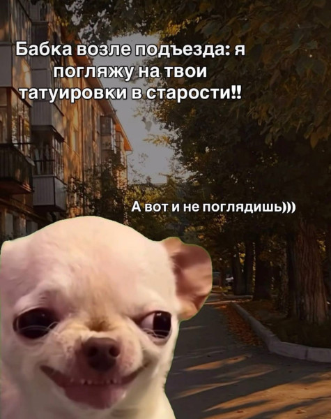 Мем, Ashmedai Мем, Ashmedai