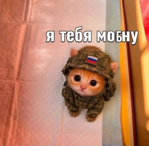 Мем, FDio