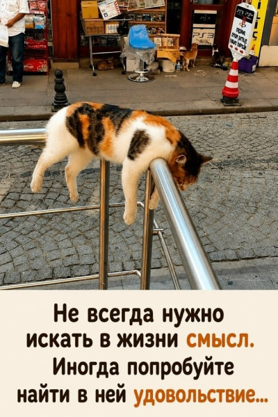 Мем Мем