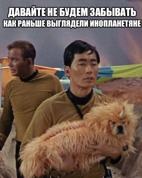 Мем, Bassplayer Мем, Bassplayer