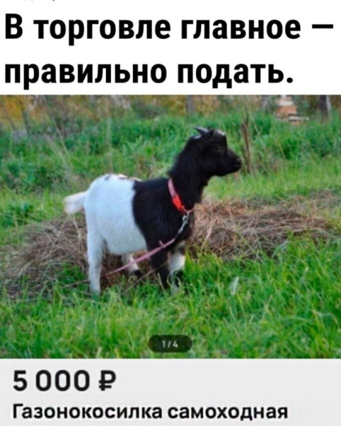 Мем, Mghost Мем, Mghost