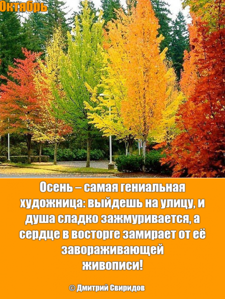 Мем: На улице, если оглянуться вокруг, воцарилось настоящее волшебство… Это же такое чудо – первая половина октября, когда ещё не очень холодно… Приветливо играет своими лучиками полусонное солнышко... Выходишь утром из дома – и попадаешь в красочную Сказку… Мем: На улице, если оглянуться вокруг, воцарилось настоящее волшебство… Это же такое чудо – первая половина октября, когда ещё не очень холодно… Приветливо играет своими лучиками полусонное солнышко... Выходишь утром из дома – и попадаешь в красочную Сказку…
