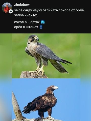 Мем, Hendry Мем, Hendry