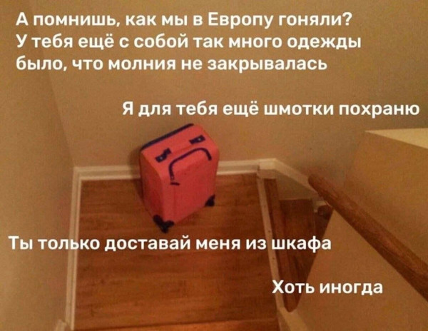 Мем, Bassplayer Мем, Bassplayer