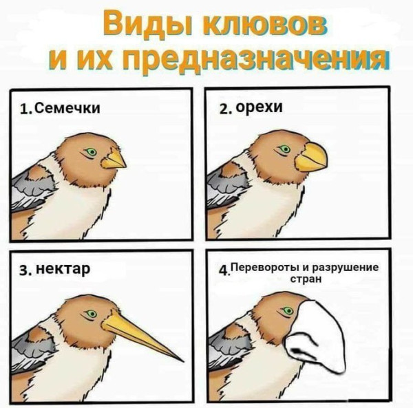 Мем, Mghost Мем, Mghost