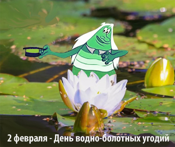 Мем: День болот