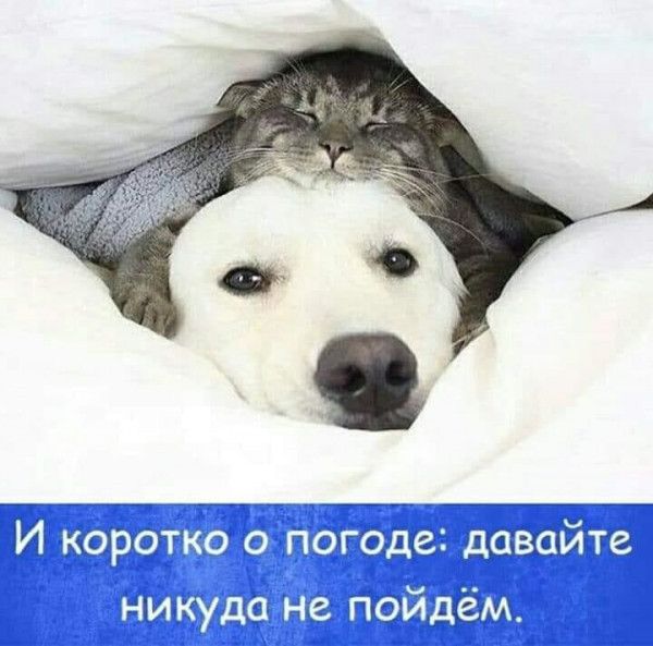 Мем: Воскресенье