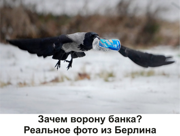 Мем, Тьмуша