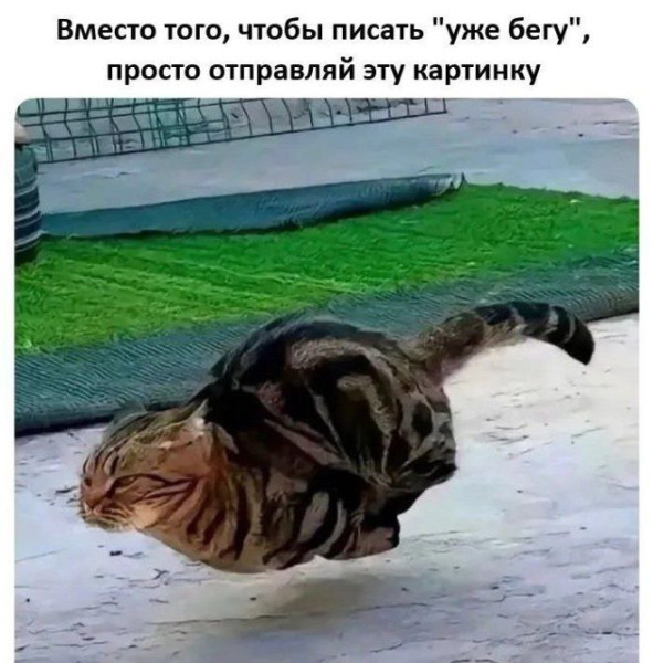Мем, Hendry