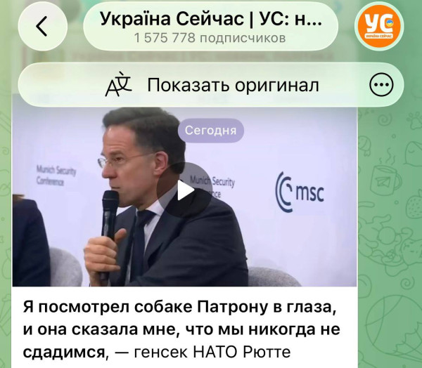 Мем: Пес его знает, Максим Камерер