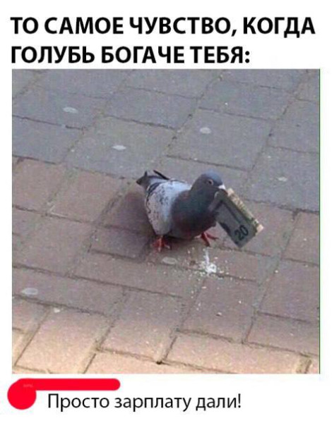 Мем, henh Мем, henh