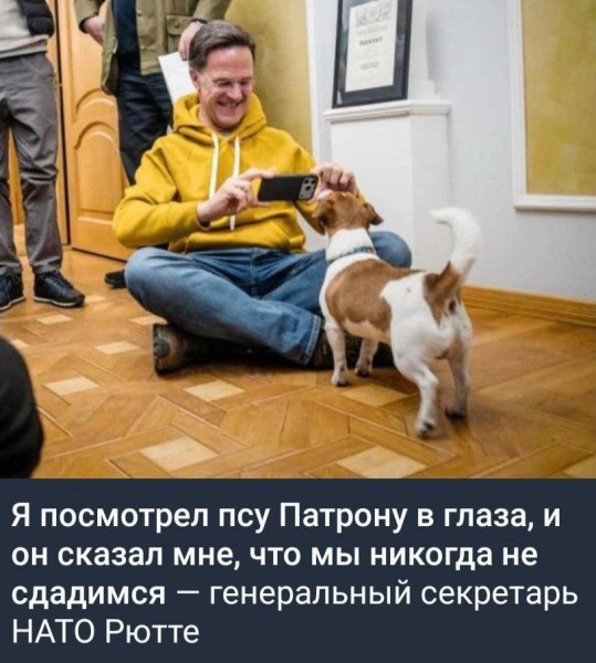 Мем: Братья по разуму