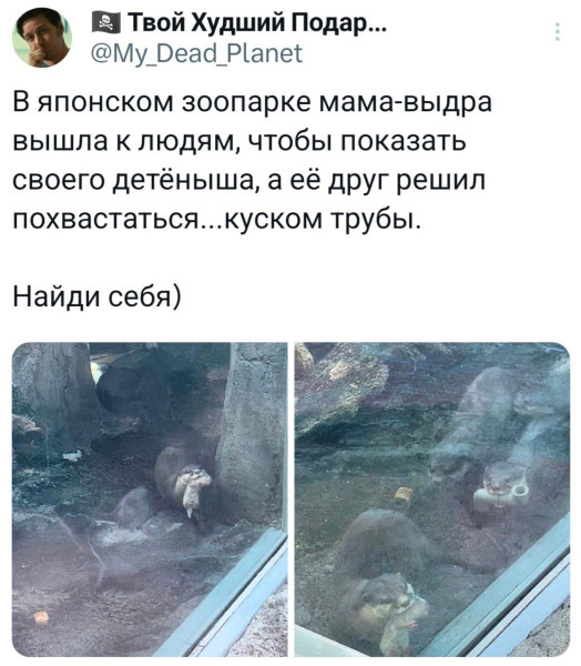 Мем, Смехалка Мем, Смехалка