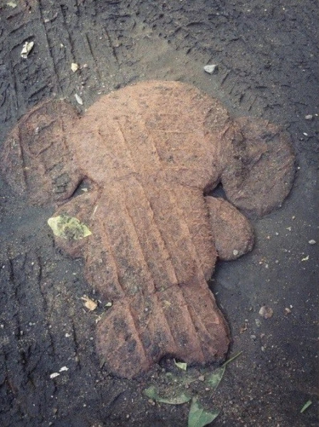 Мем: Чебуратор, Антиклептократ Мем: Чебуратор, Антиклептократ