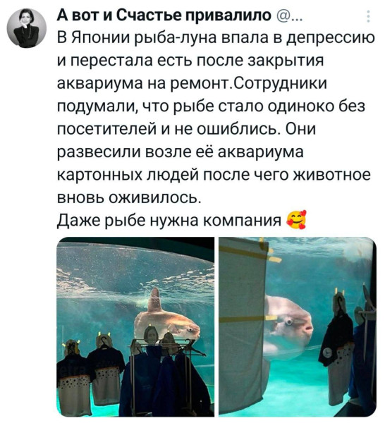 Мем, Смехалка