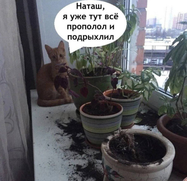 Мем, Смехалка