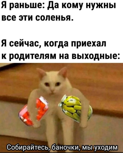 Мем: Правда жизни, iteam