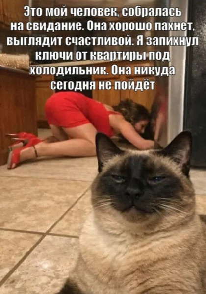 Мем: Юмор, iteam