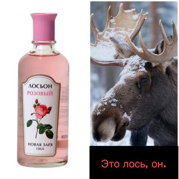 Мем: Лосьон, DVD