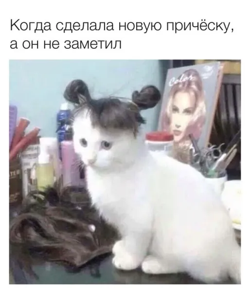 Мем, Смехалка Мем, Смехалка