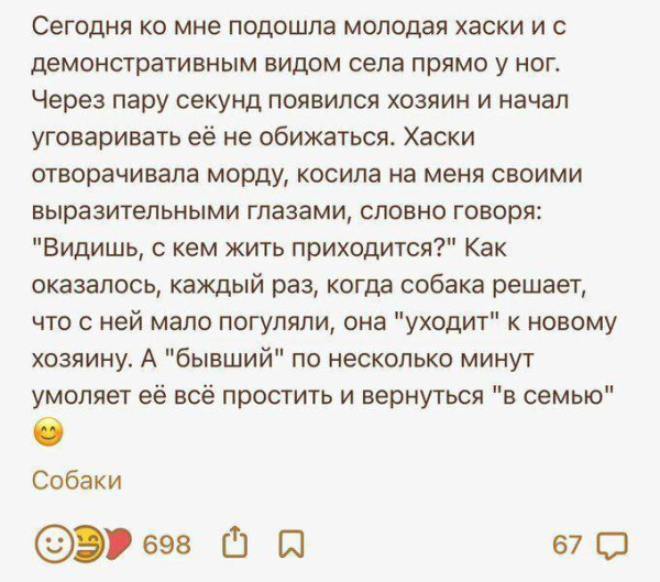 Мем, henh Мем, henh