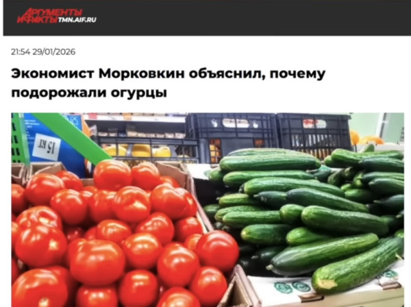 Мем, immar Мем, immar