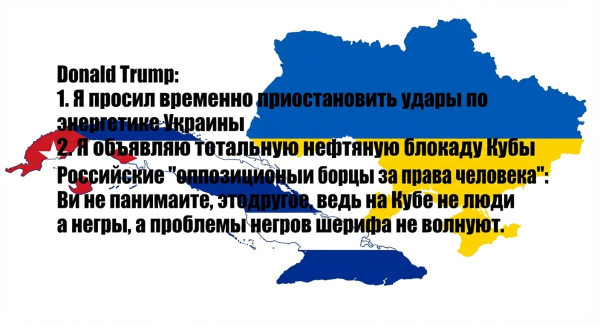 Мем: два мира – два Шапиро, Plato