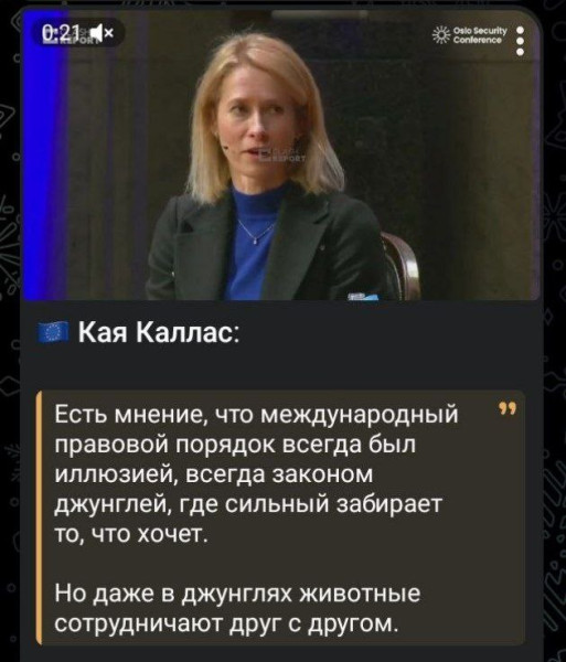 Мем: Кая Каллас уже прочитала первую книгу – Маугли, Юрий Небольсин