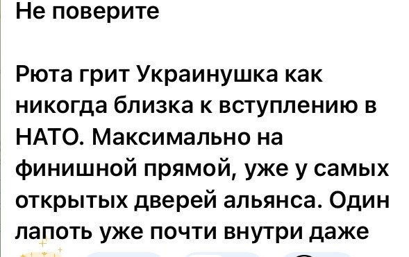 Мем, Максим Камерер