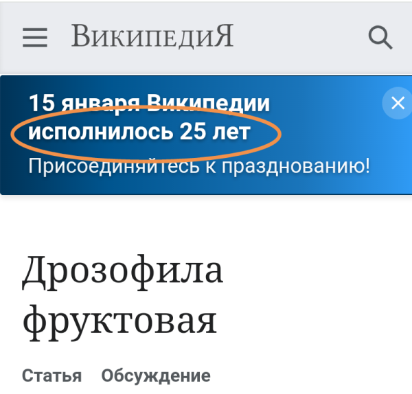 Мем: Несмешная младшая сводная сестра-всезнайка anekdot. ru, Locksmith