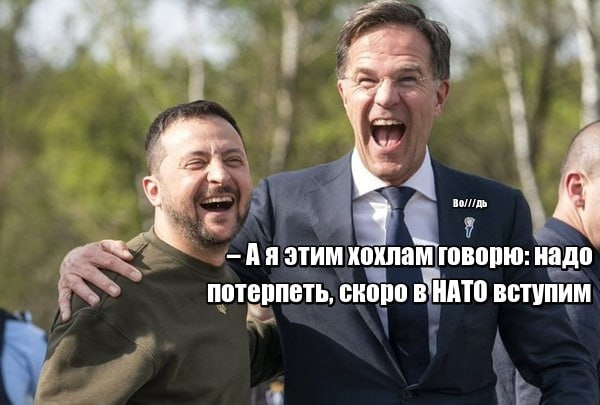 Мем: Рютте пообещал, что двери НАТО для Украины откроются, но позже, Юрий Небольсин