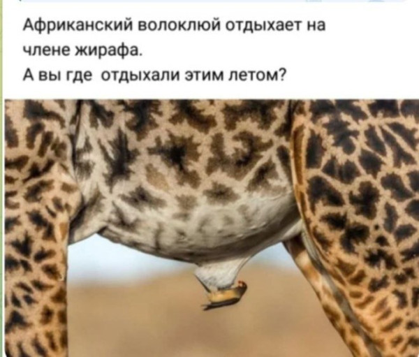 Мем, Смехалка