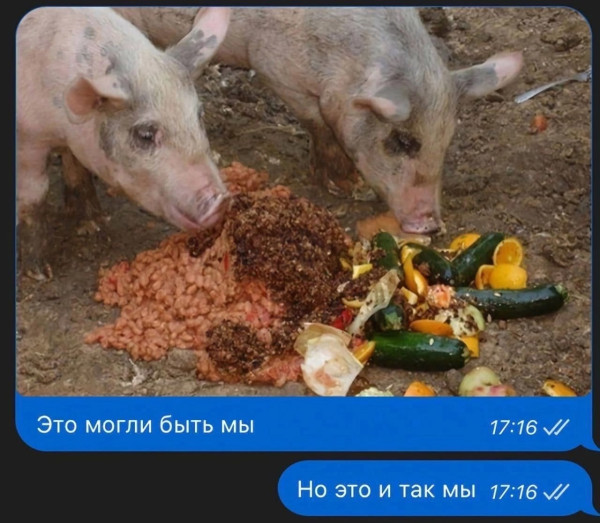 Мем, Кот Отморозкин