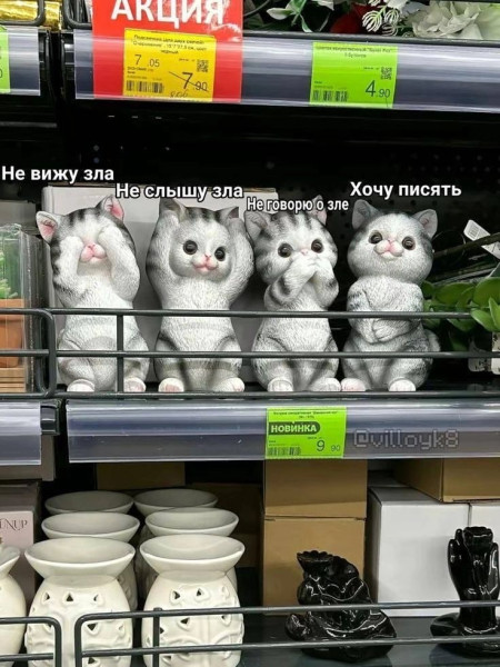 Мем, Кот Отморозкин