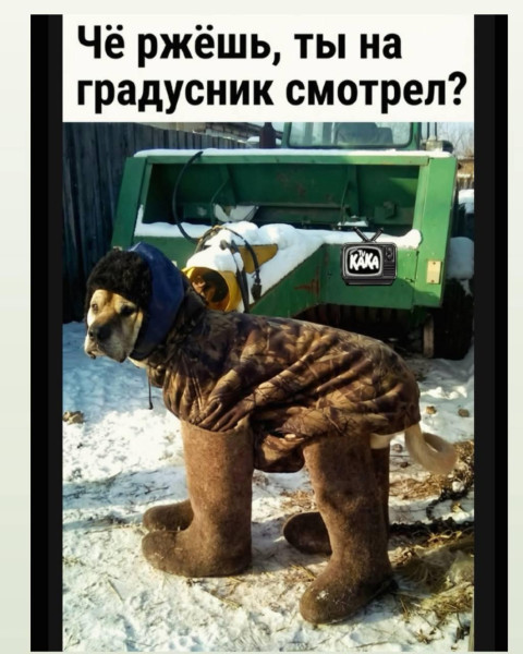 Мем, Смехалка