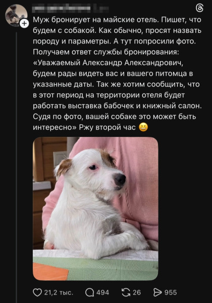 Мем, Смехалка