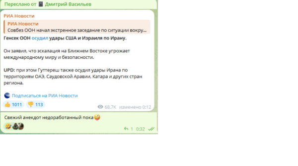 Мем: 29 статья конституции, Vasileff4