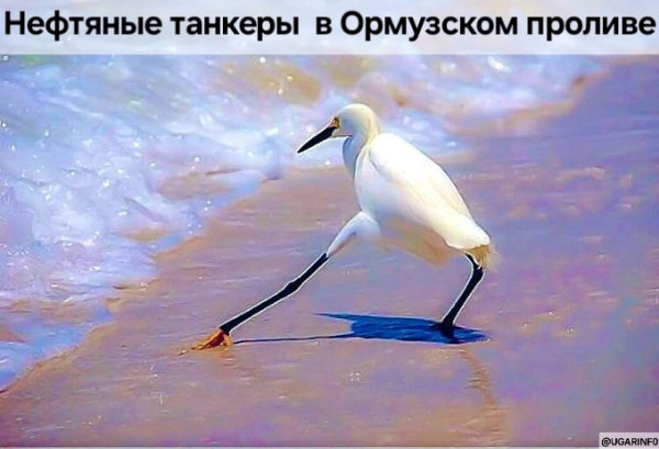 Мем, УгарИнфо