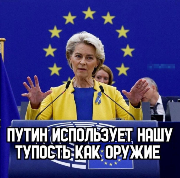 Мем, Максим Камерер