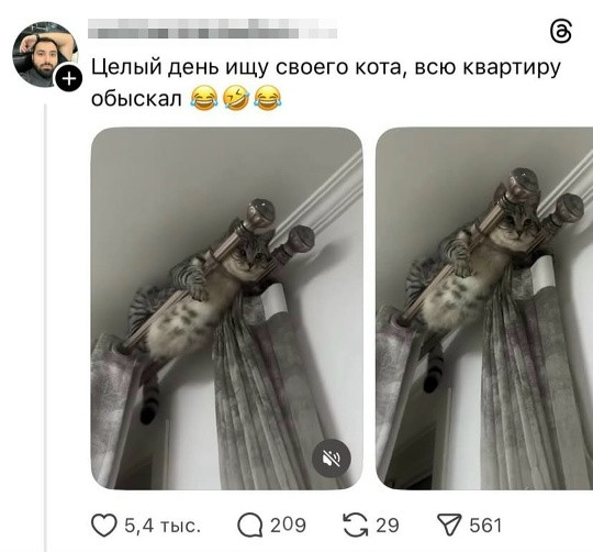 Мем, Смехалка