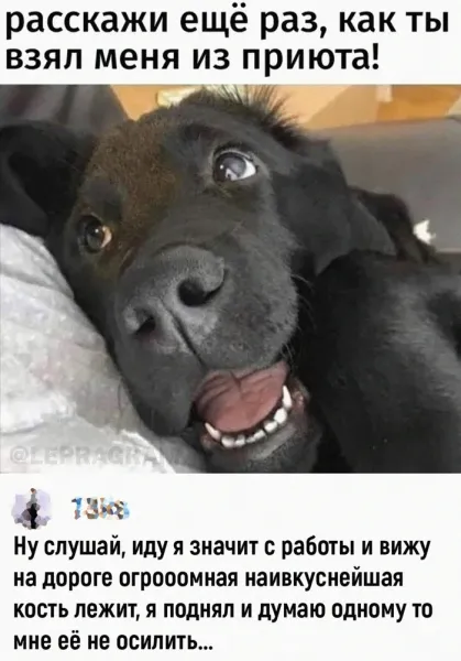 Мем, Смехалка Мем, Смехалка