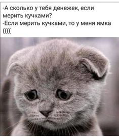 Мем, михельсон Мем, михельсон